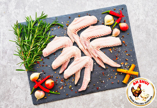 Duck wing (Without Drumlet)